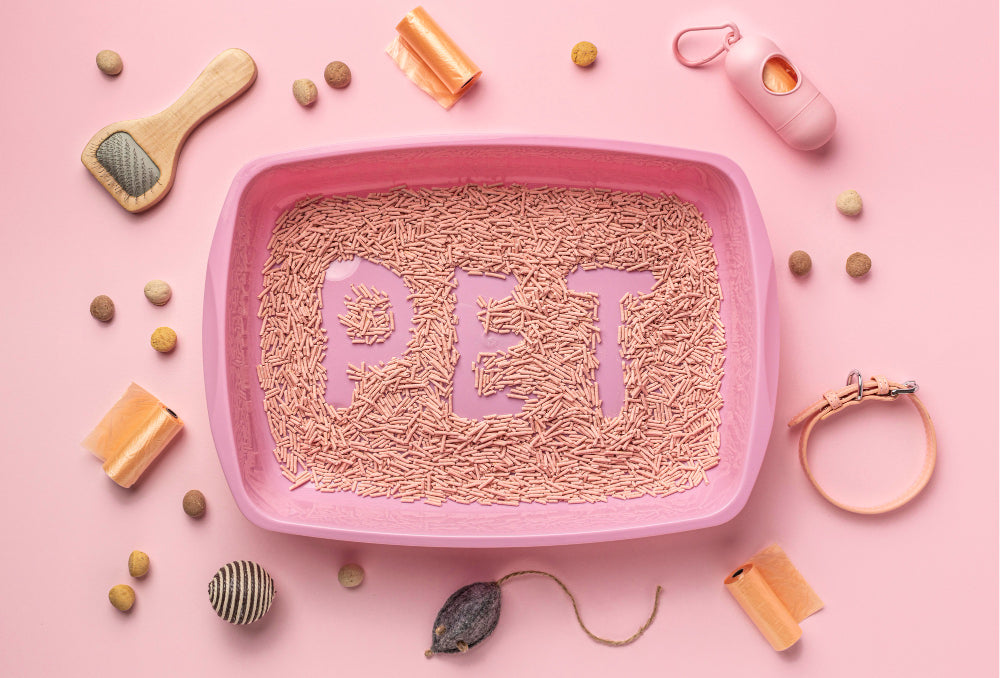 Best Cat Litter Boxes in Australia